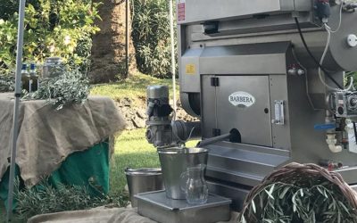 PREMIATI OLEIFICI BARBERA A TAORMINA GOURMET ANTEPRIMA OLIO NOVELLO E MASTERCLASS CON MANFREDI BARBERA